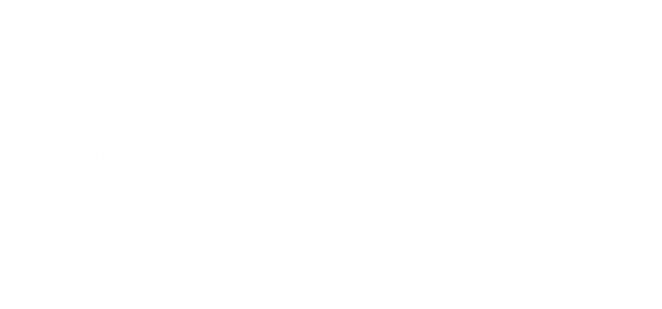 DaMi网络